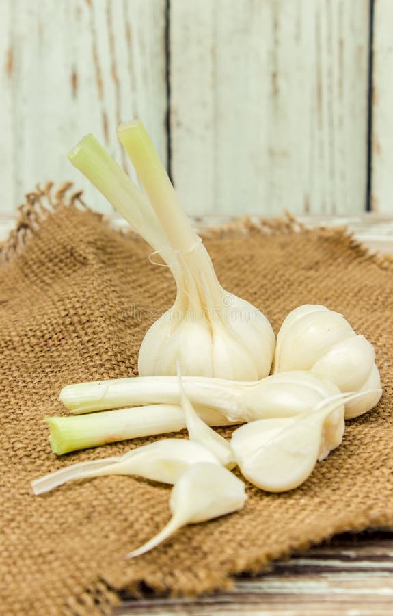 Fresh young garlic stock image. Image of clean, fresh 73036837