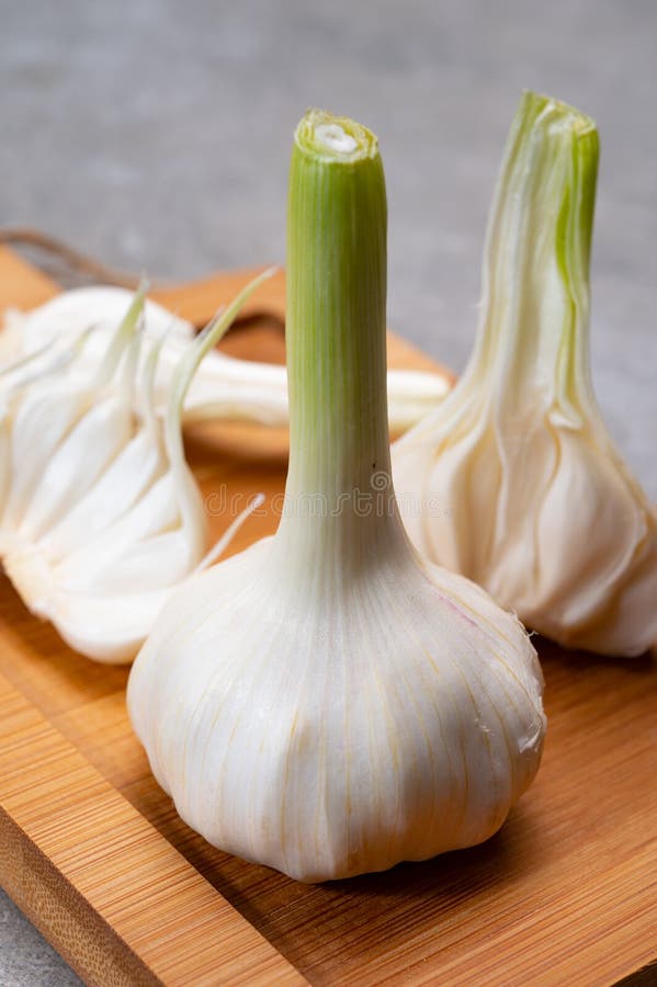 Fresh Young Heads of White Garlic Stock Photo Image of cooking, onion