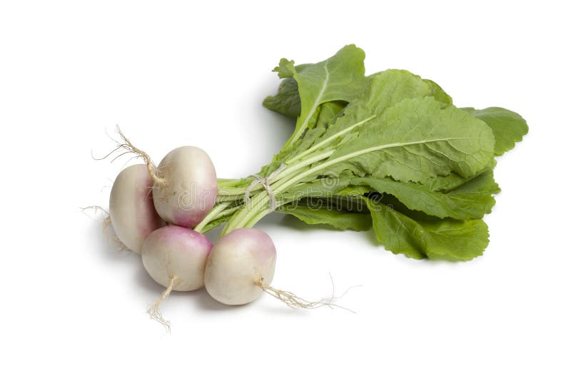 Turnip growing in field 1 stock image. Image of prince 30568255