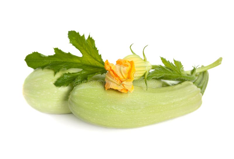 Fresh zucchini fruits with green leaves and flower