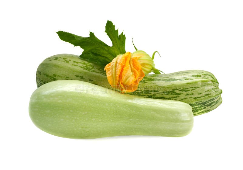 Fresh zucchini fruits with green leaves and flower