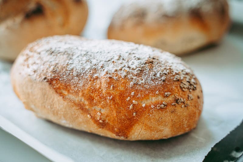 Crusty Freshly Baked Bread in the Bakery Stock Image Image of baker