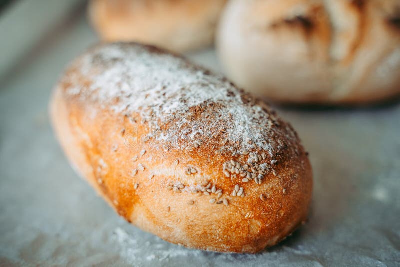 Crusty Freshly Baked Bread in the Bakery Stock Image Image of freshly