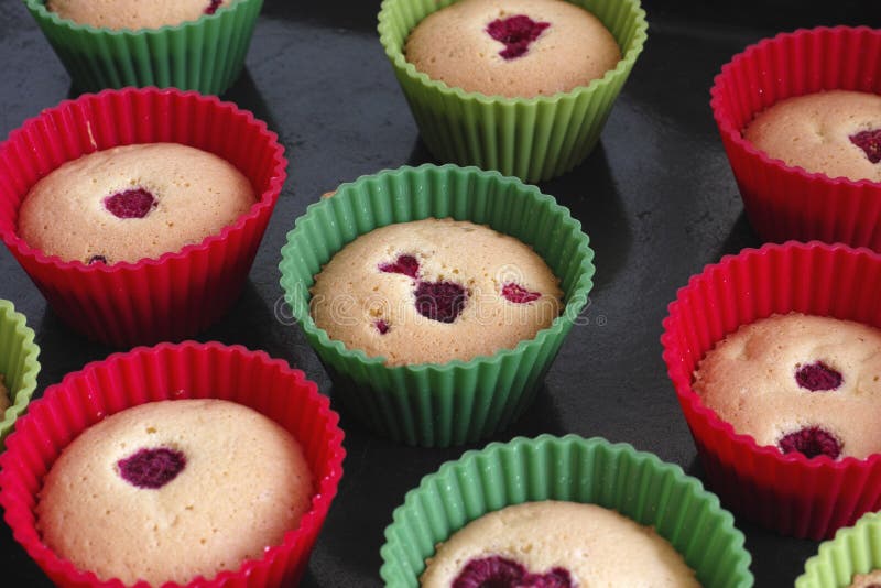 Freshly Baked Gluten Free Sponge Cake Muffins Stock Image Image of