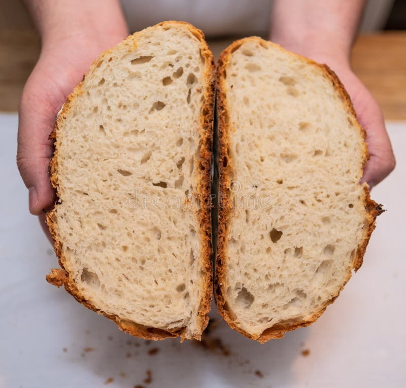 Cross section of freshly baked loaf of bread stock photography Cross section of freshly baked loaf of bread stock photography