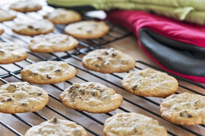 Freshly baked homemade chocolate chip cookies are set out on wire racks to cool before storing. Homemade chocolate chip cookies are always a favorite dessert during any time of the year. Freshly baked homemade chocolate chip cookies are set out on wire racks to cool before storing. Homemade chocolate chip cookies are always a favorite dessert during any time of the year.