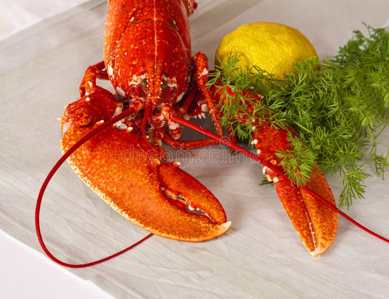 Freshly boiled red lobster lying on a table with lemon and dill. royalty free stock image Freshly boiled red lobster lying on a table with lemon and dill. royalty free stock image