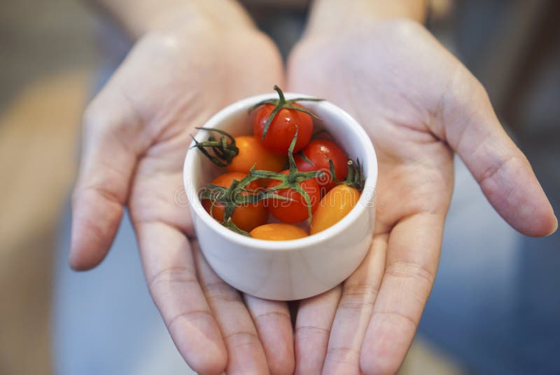 Freshly cherry tomatoes on hand. stock photography Freshly cherry tomatoes on hand. stock photography