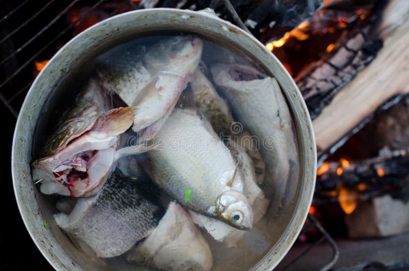 Freshly cought fish cooking in a big pot on open fire. Pieces of fish are shown close-up. Some fish put in pan entirely