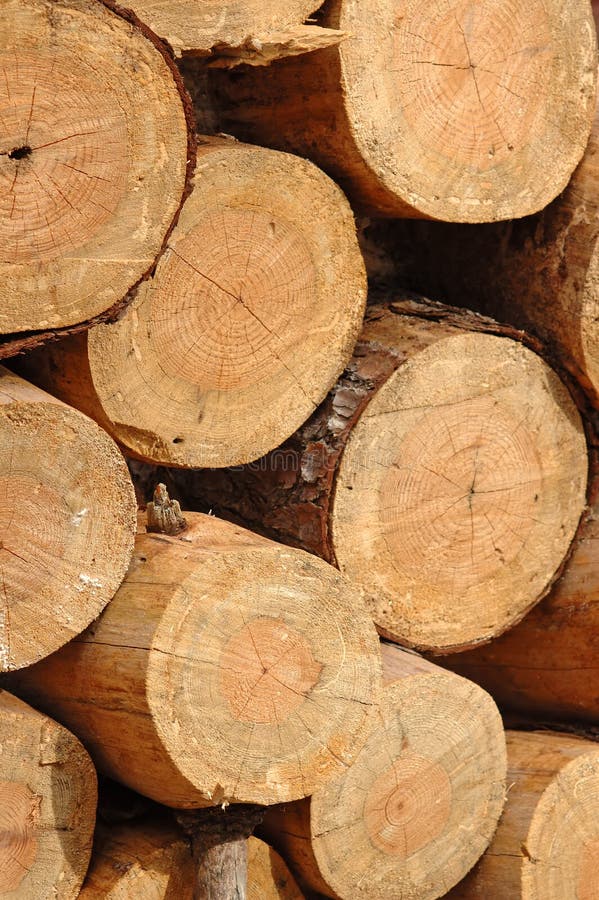 69,618 Lumber Stack Stock Photos Free & RoyaltyFree Stock Photos