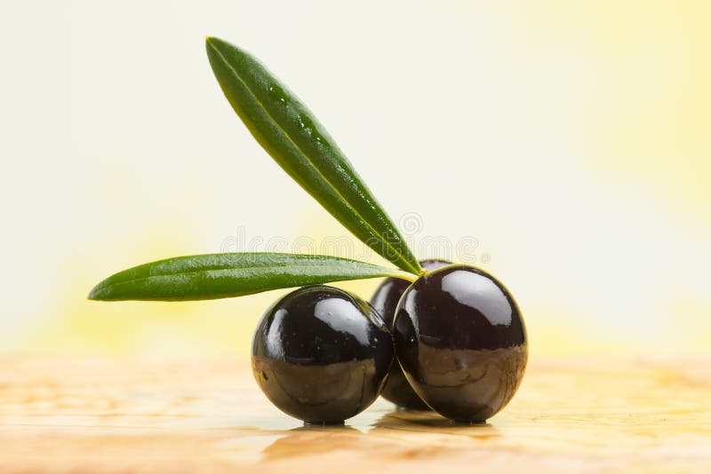 Freshly Harvested Black Olives on the Olive Table Stock Photo Image