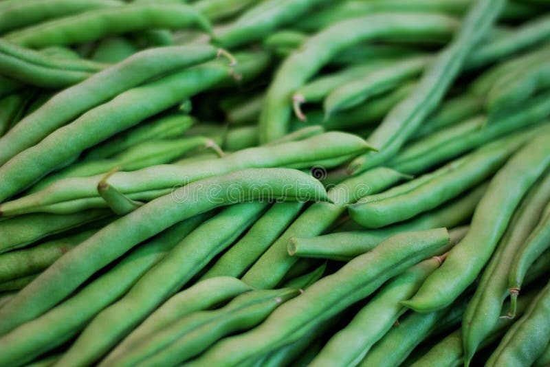 Freshly Harvested Green Beans on the Market Stock Photo Image of