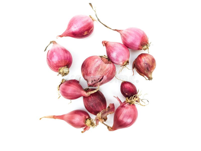 175 Harvested Shallots Stock Photos - Free & Royalty-Free Stock