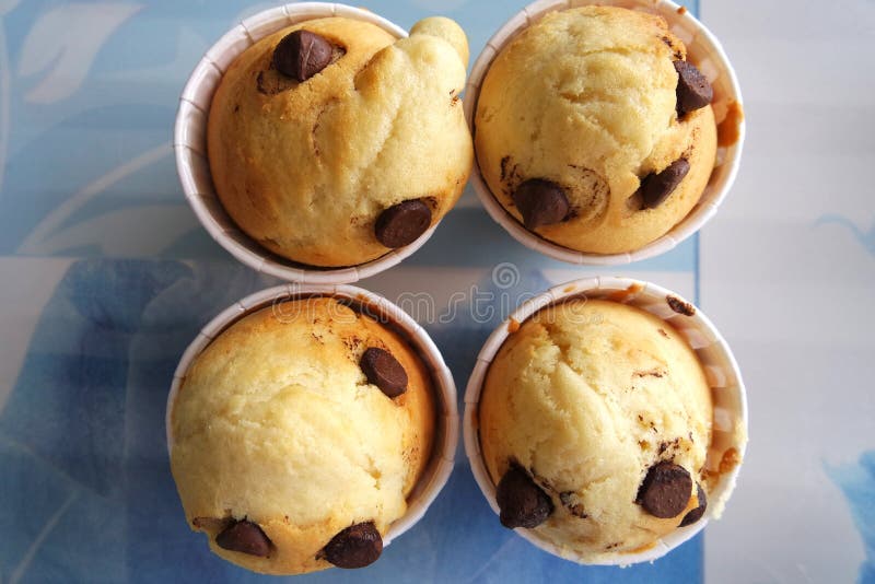 Freshly Made Chocolate Chip Vanilla Cup Cakes Stock Image Image of pastry, vanilla 47676221