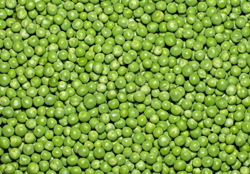 Peas Photos Download The BEST Free Peas Stock Photos  HD Images