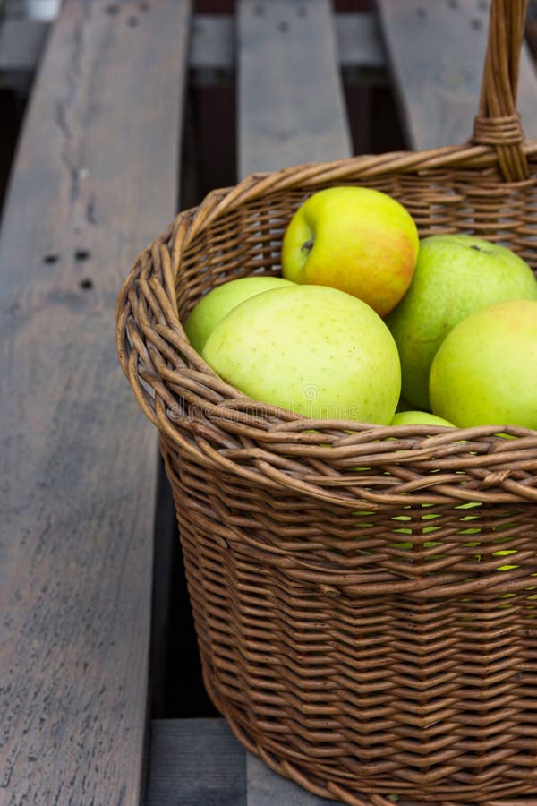 Freshly picked raw organic green yellow apples of various kinds in vintage wicker basket on wood garden table.Autumn fall harvest royalty free stock photos Freshly picked raw organic green yellow apples of various kinds in vintage wicker basket on wood garden table.Autumn fall harvest royalty free stock photos