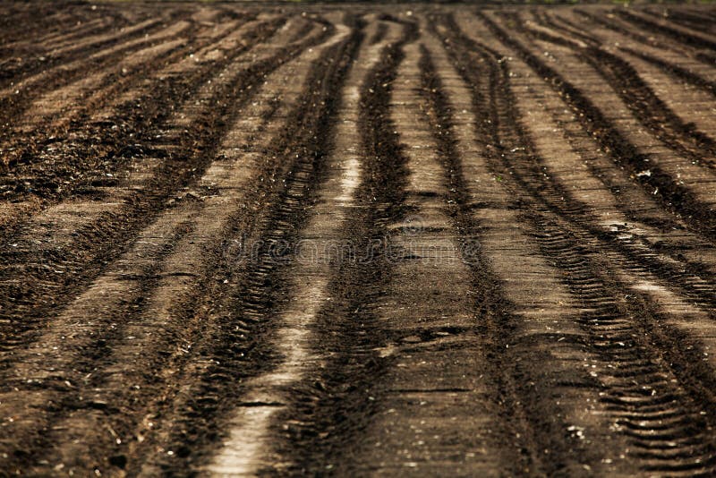 Freshly plowed spring field for planting vegetable seeds