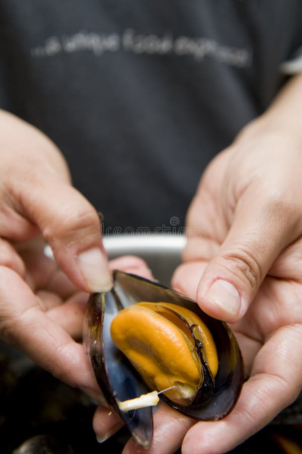 Freshly prepared black mussels