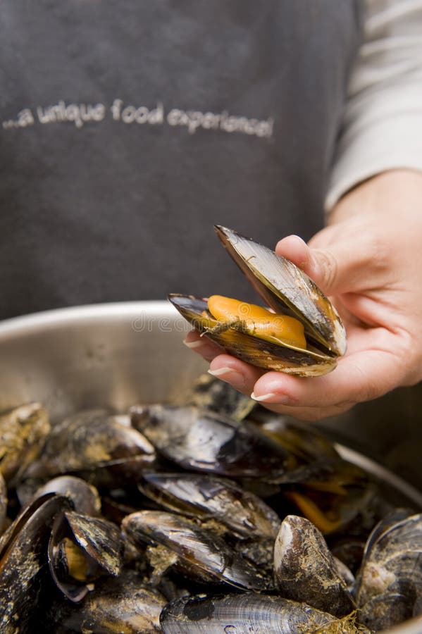 Freshly prepared black mussels