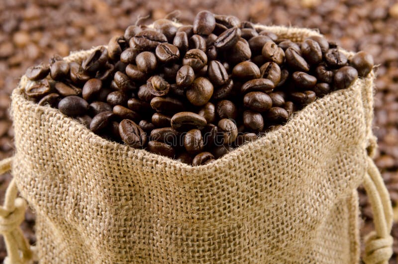 Freshly Roasted Coffee Beans Stock Image Image of delicious