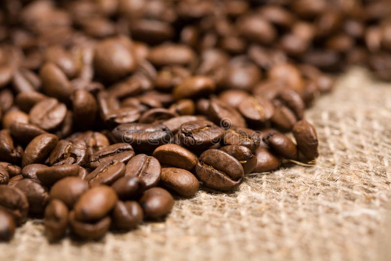 Freshly Roasted Coffee Beans on Sackcloth Stock Image Image of