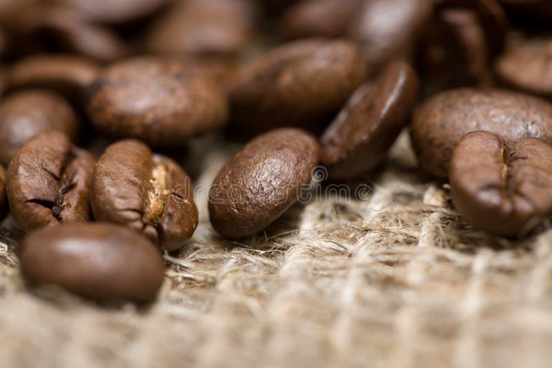 Freshly roasted coffee beans on sackcloth