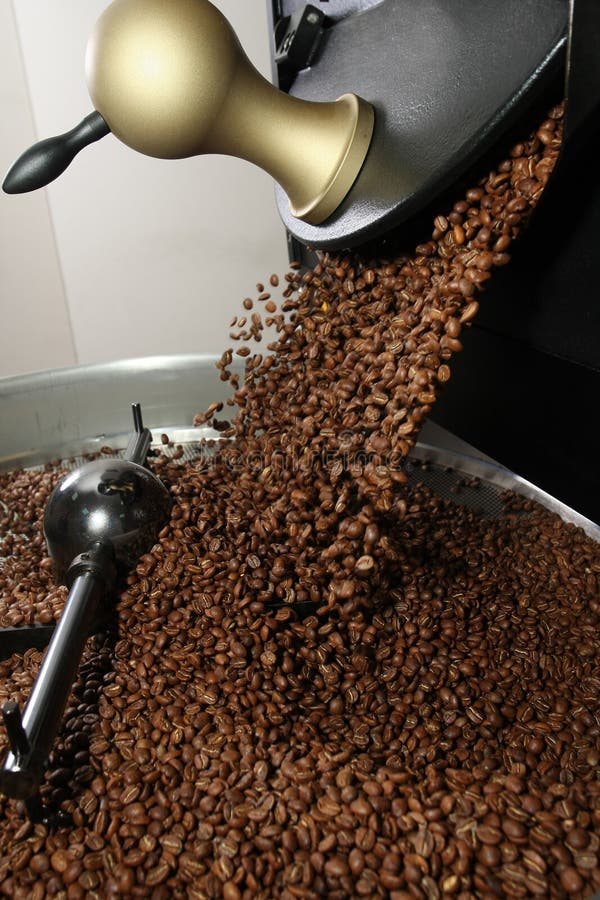 Freshly roasted coffee beans spilled out coffee roasting machines