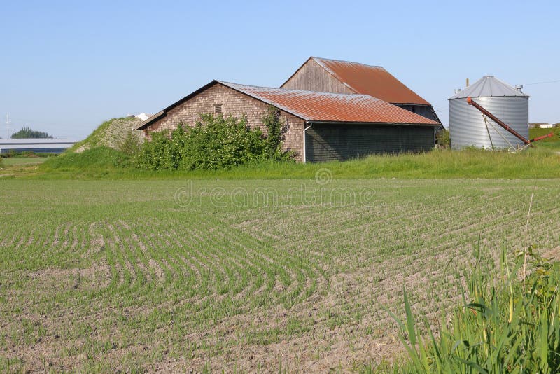 Freshly Seeded Farmland and Old Buildings