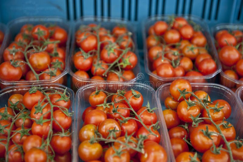 Freshly Stocked Tomatoes