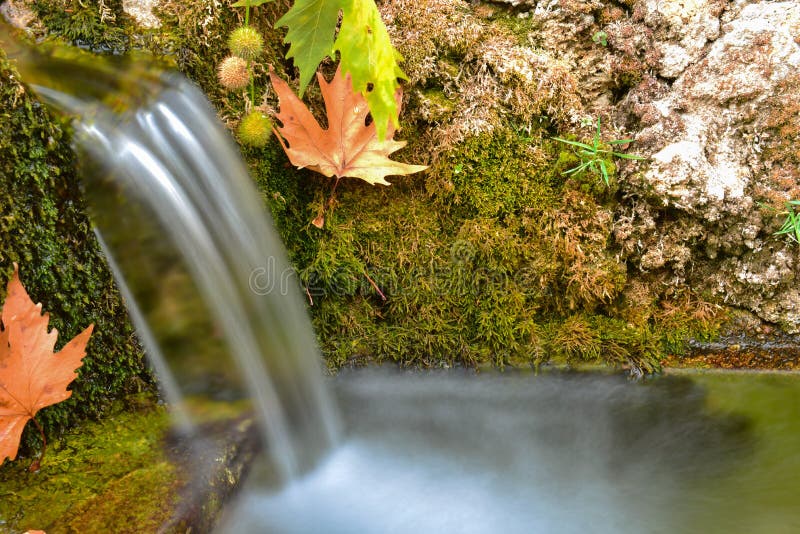 Freshness and tranquility of natural waters royalty free stock photos Freshness and tranquility of natural waters royalty free stock photos