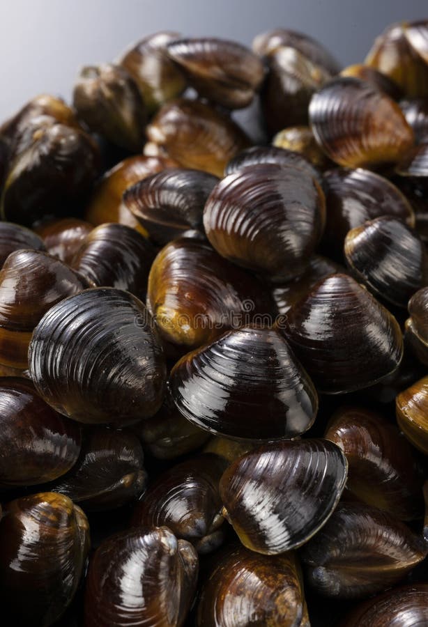 Black Clamshell Shaped Basket Used For Transporting Soil In The
