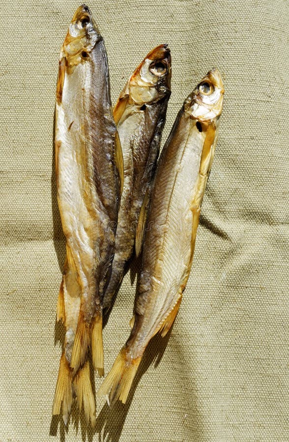 Fish of cold smoking stock photo. Image of delicacy, fresh 5825116