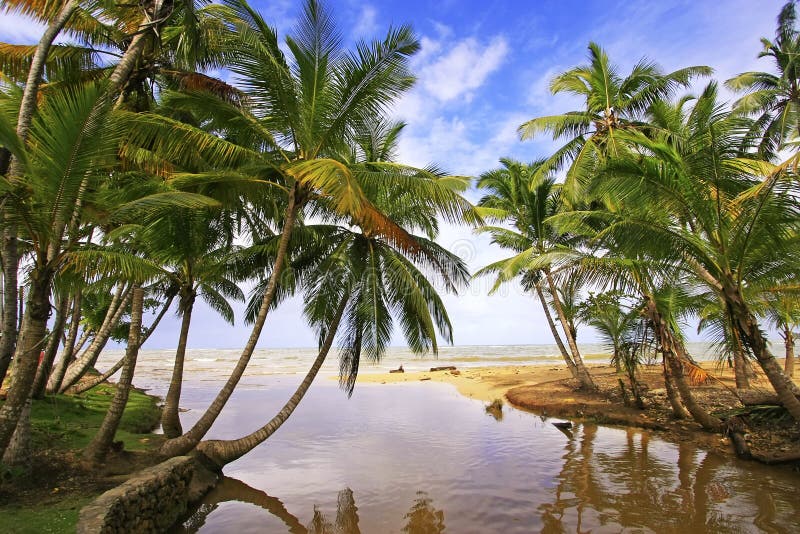 Freshwater River at Las Terrenas Beach, Samana Peninsula Stock Photo ...