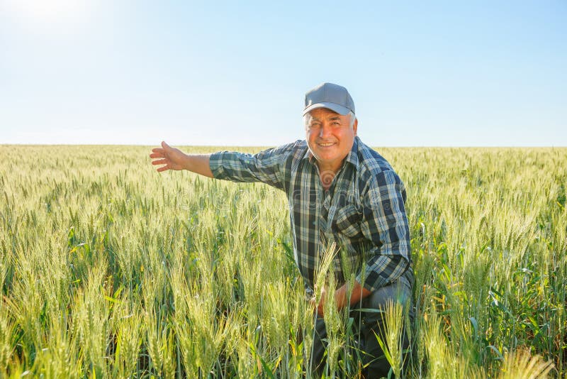 Freudlicher älterer männlicher Arbeitnehmer in der Kappe, der Kamera anschaut und wegzeigt, während er im Feld sitzt stockfotografie