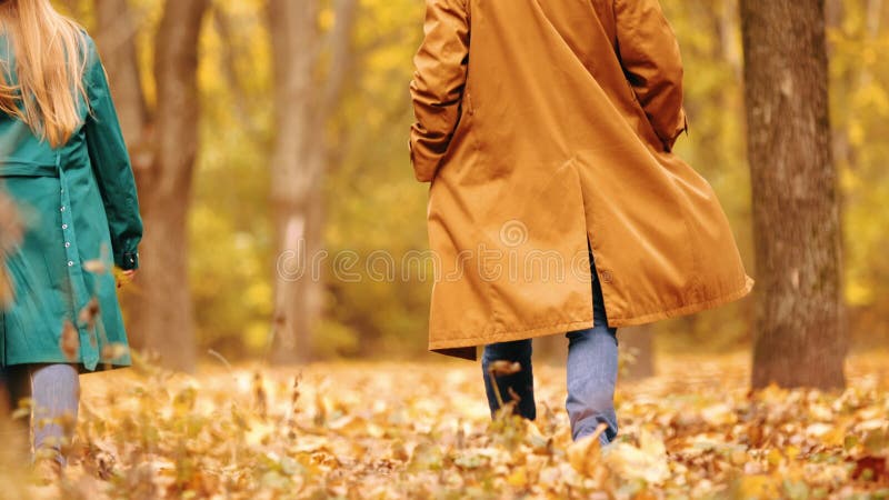 Freundinnen und Bekannte, die an einem warmen Tag in einem gelben Herbstwaldpark spazieren. Herbstmode und Lifestyle