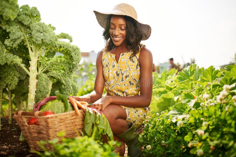 Fashionable black female gardener tending to organic crops at community garden and picking up a basket full of produce. Fashionable black female gardener tending to organic crops at community garden and picking up a basket full of produce