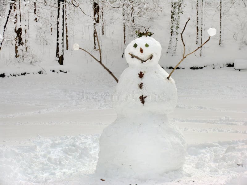 Bildergebnis für freundlicher Schneemann