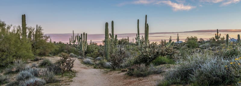 Fridsamt Arizona soluppgånglandskap och fotvandra slinga arkivfoto Fridsamt Arizona soluppgånglandskap och fotvandra slinga arkivfoto
