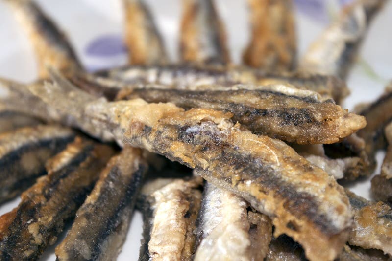 Fried anchovies stock photo. Image of mediterranean, rustic 59247776