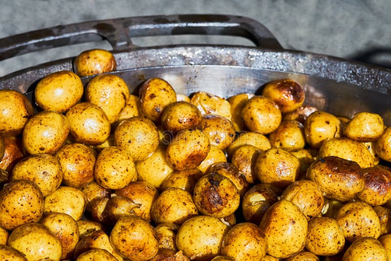 Fried Baby Potatoes in a Frying Pan. Top View Stock Image Image of