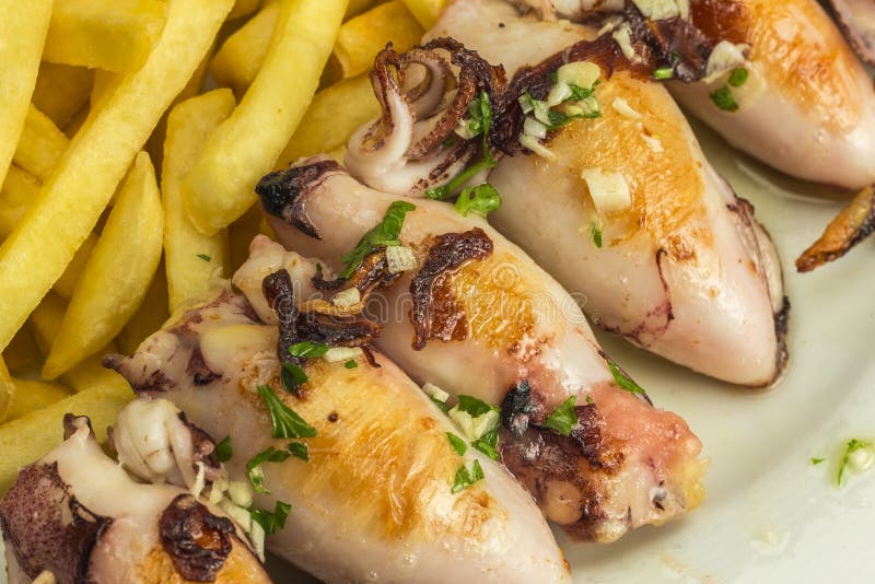 Fried calamari stock image. Image of chopped, homemade 87368805