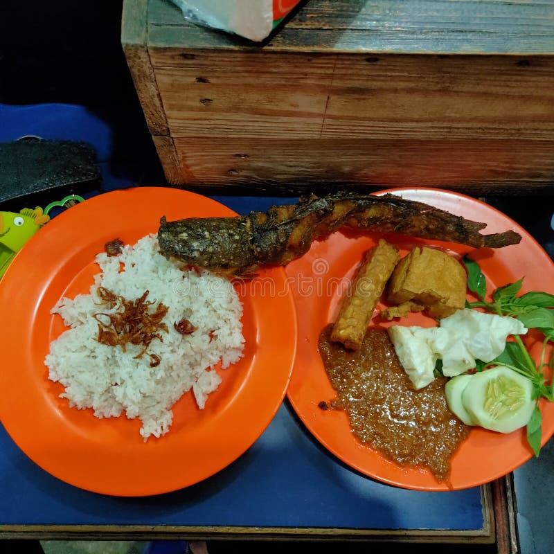 Fried catfish with rice stock image. Image of rive, traditional 272572065