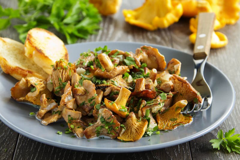 Fried Chanterelle Mushrooms Stock Photo Image of sauce, cooking 41835322