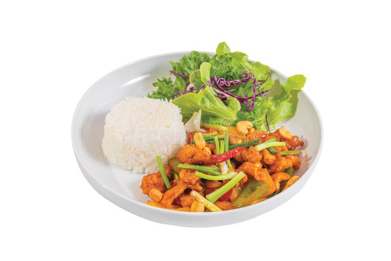 Fried Chicken.Cashew Nut stock image. Image of meal - 242806953