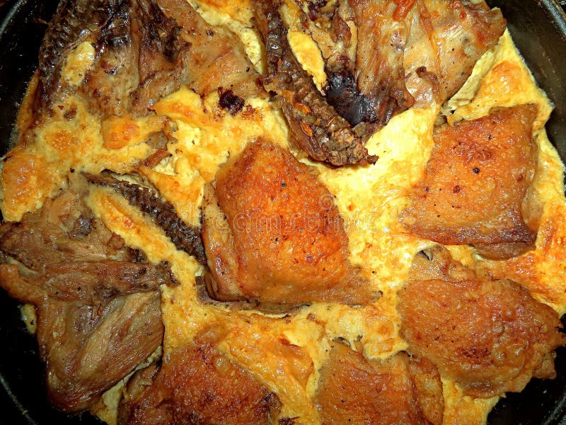 Fried chicken pieces in an egg until Golden brown royalty free stock photo