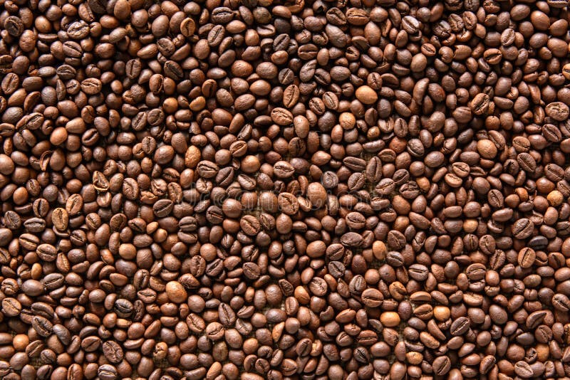 Arabika coffee beans background