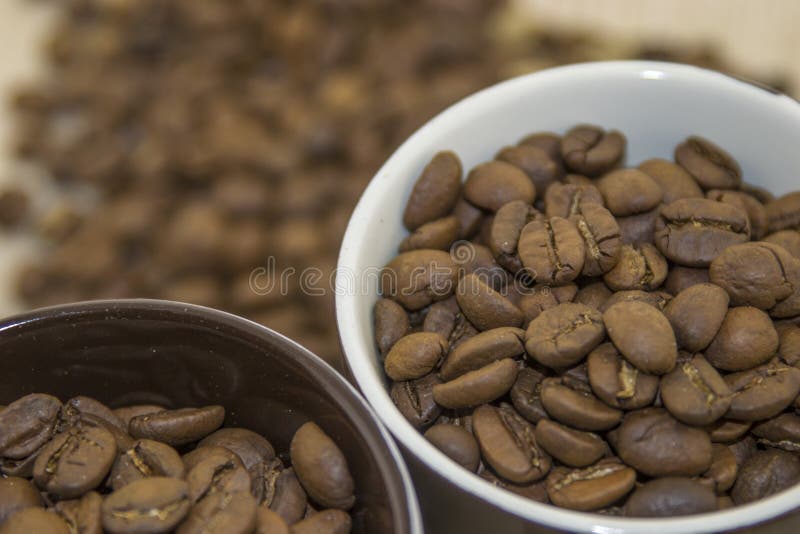 Fried coffee beans in a cup stock images Fried coffee beans in a cup stock images