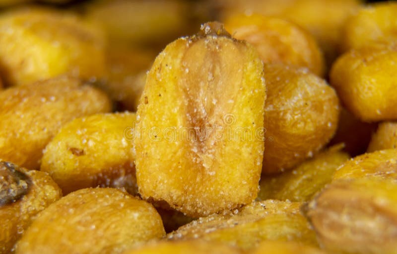Roasted and salted corn. stock image. Image of corn 199379527