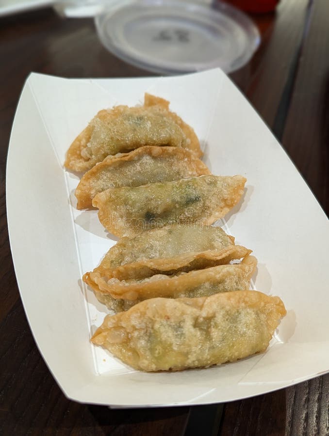 Fried Dumplings Gyoza Crispy Stock Image Image of food, meal 262780001