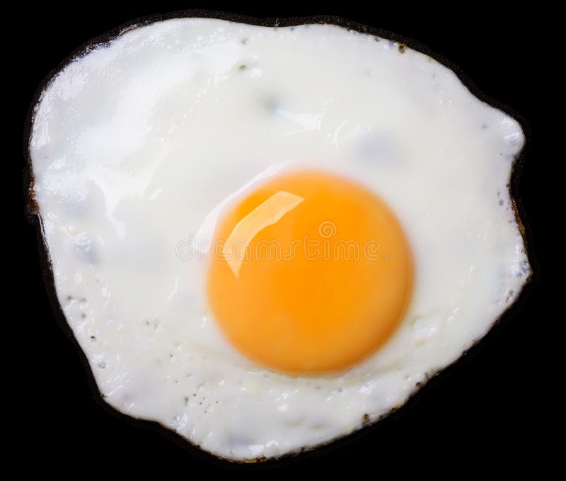 Fried Egg